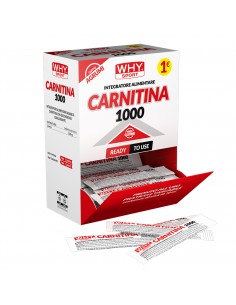CARNITINA 1000
