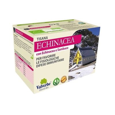 Tisana Echinacea: difese immunitarie