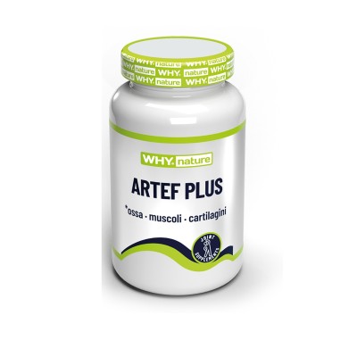 ARTEF PLUS: articolazioni