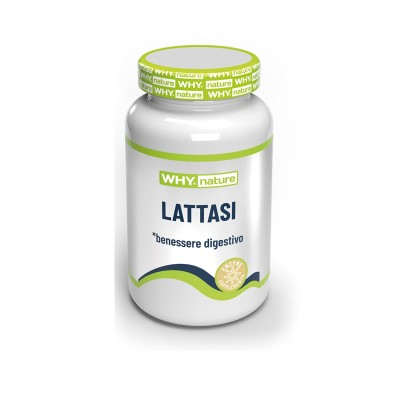 LATTASI: digerire il lattosio