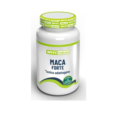 MACA FORTE: physical and mental tiredness
